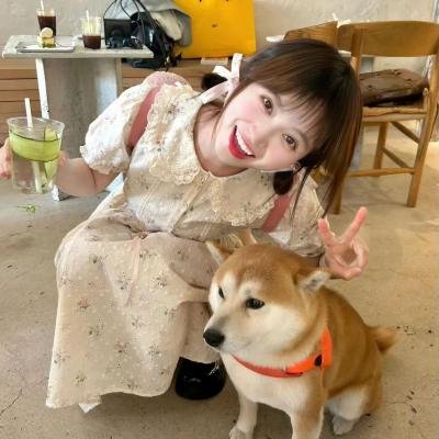 金子般我的明星