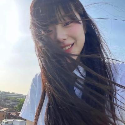 透光的树